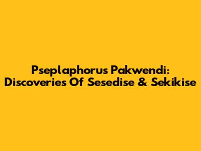Pseplaphorus Pakwendi: Discoveries Of Sesedise & Sekikise