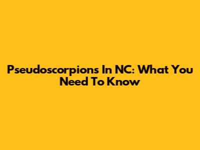 Pseudoscorpions In NC: What You Need To Know