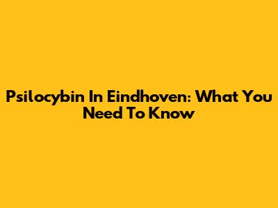 Psilocybin In Eindhoven: What You Need To Know