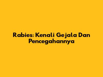 Rabies: Kenali Gejala Dan Pencegahannya