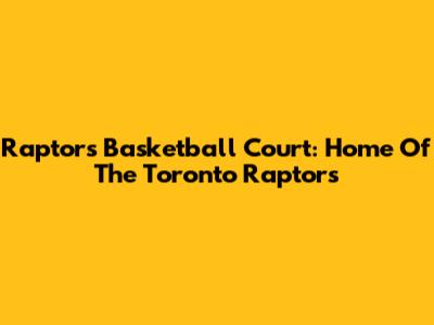 Raptors Basketball Court: Home Of The Toronto Raptors