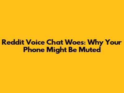 Reddit Voice Chat Woes: Why Your Phone Might Be Muted