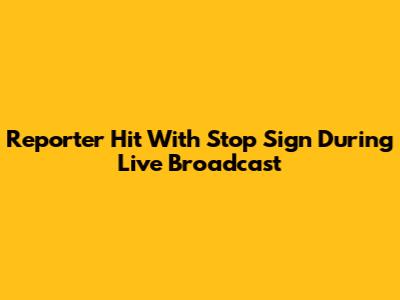 Reporter Hit With Stop Sign During Live Broadcast