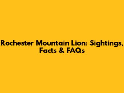 Rochester Mountain Lion: Sightings, Facts & FAQs