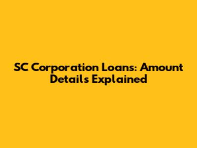 SC Corporation Loans: Amount Details Explained