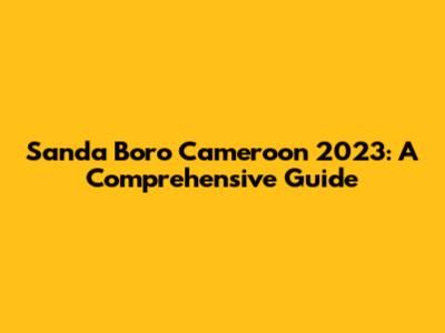 Sanda Boro Cameroon 2023: A Comprehensive Guide