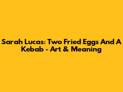Sarah Lucas: Two Fried Eggs And A Kebab - Art & Meaning