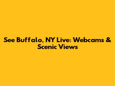 See Buffalo, NY Live: Webcams & Scenic Views