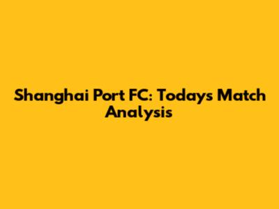 Shanghai Port FC: Today's Match Analysis