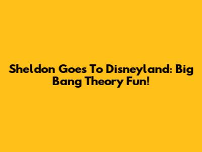 Sheldon Goes To Disneyland: Big Bang Theory Fun!