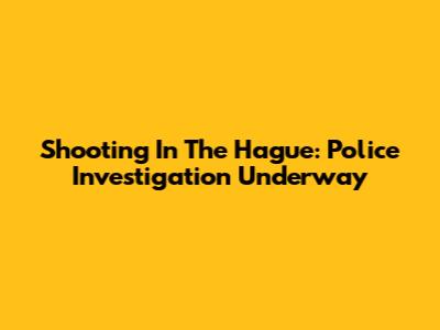Shooting In The Hague: Police Investigation Underway