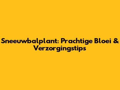 Sneeuwbalplant: Prachtige Bloei & Verzorgingstips