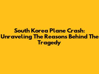 South Korea Plane Crash: Unraveling The Reasons Behind The Tragedy