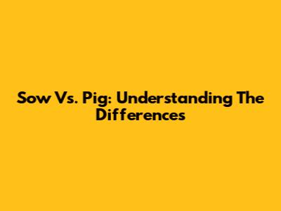 Sow Vs. Pig: Understanding The Differences
