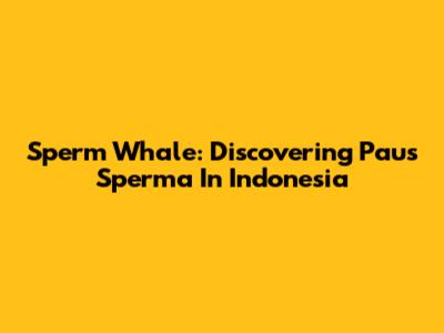 Sperm Whale: Discovering 'Paus Sperma' In Indonesia