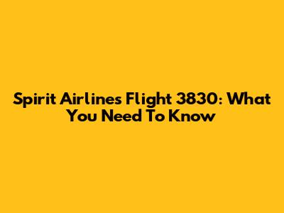 Spirit Airlines Flight 3830: What You Need To Know