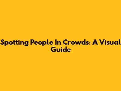 Spotting People In Crowds: A Visual Guide