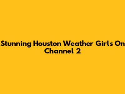 Stunning Houston Weather Girls On Channel 2