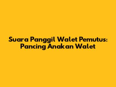 Suara Panggil Walet Pemutus: Pancing Anakan Walet