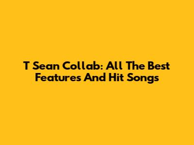 T Sean Collab: All The Best Features And Hit Songs