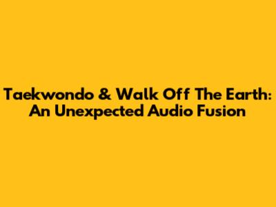 Taekwondo & Walk Off The Earth: An Unexpected Audio Fusion