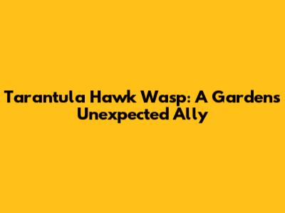 Tarantula Hawk Wasp: A Garden's Unexpected Ally