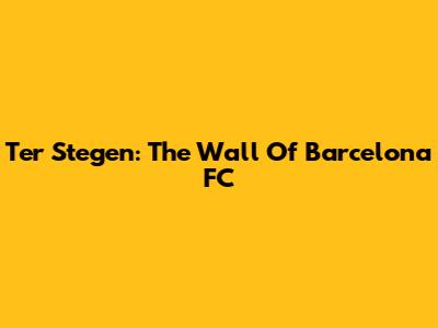Ter Stegen: The Wall Of Barcelona FC