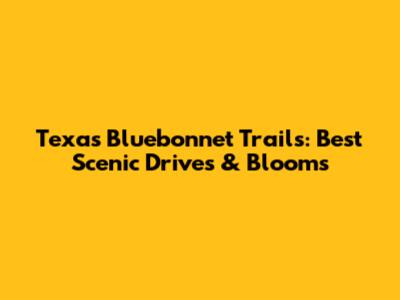 Texas Bluebonnet Trails: Best Scenic Drives & Blooms
