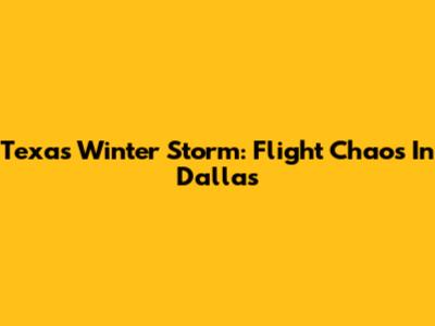 Texas Winter Storm: Flight Chaos In Dallas