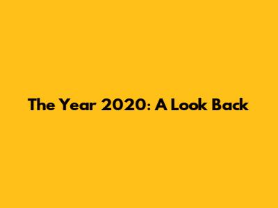 The Year 2020: A Look Back