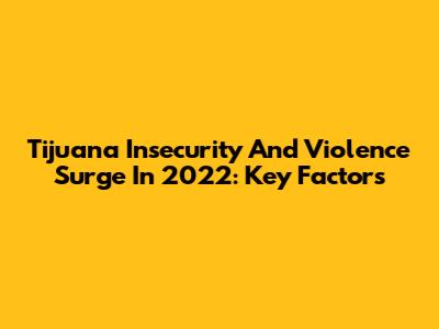 Tijuana Insecurity And Violence Surge In 2022: Key Factors