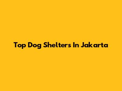 Top Dog Shelters In Jakarta