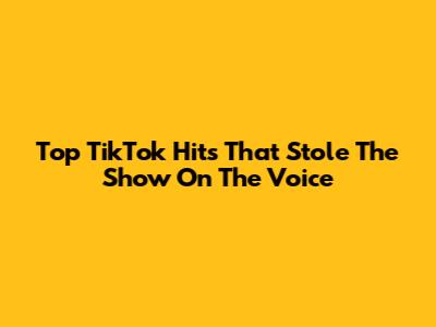 Top TikTok Hits That Stole The Show On The Voice