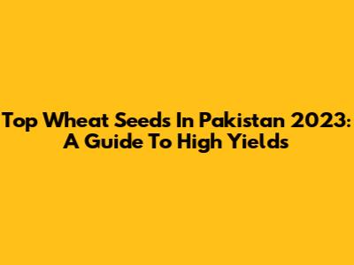 Top Wheat Seeds In Pakistan 2023: A Guide To High Yields