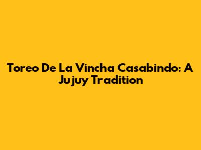 Toreo De La Vincha Casabindo: A Jujuy Tradition