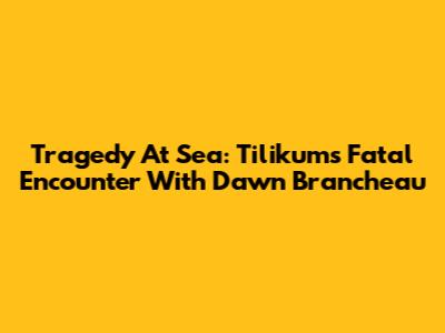Tragedy At Sea: Tilikum's Fatal Encounter With Dawn Brancheau