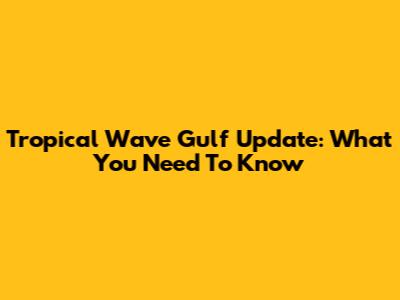 Tropical Wave Gulf Update: What You Need To Know