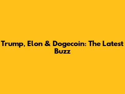 Trump, Elon & Dogecoin: The Latest Buzz