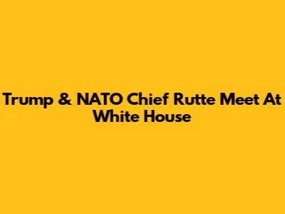 Trump & NATO Chief Rutte Meet At White House