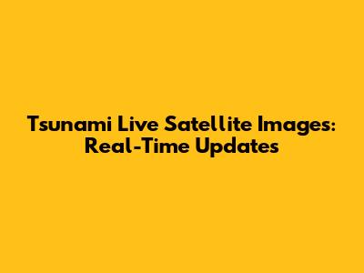 Tsunami Live Satellite Images: Real-Time Updates