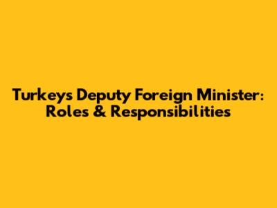 Turkey's Deputy Foreign Minister: Roles & Responsibilities