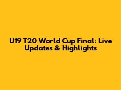 U19 T20 World Cup Final: Live Updates & Highlights