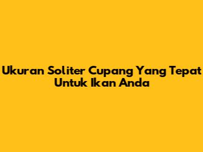 Ukuran Soliter Cupang Yang Tepat Untuk Ikan Anda