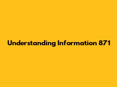 Understanding Information 871