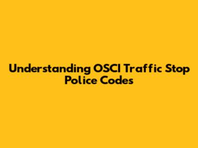 Understanding OSCI Traffic Stop Police Codes