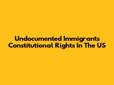 Undocumented Immigrants' Constitutional Rights In The US