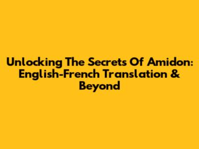 Unlocking The Secrets Of Amidon: English-French Translation & Beyond