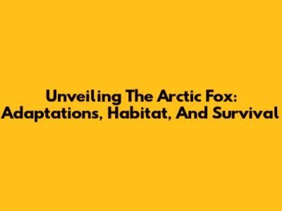 Unveiling The Arctic Fox: Adaptations, Habitat, And Survival
