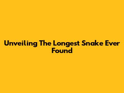 Unveiling The Longest Snake Ever Found