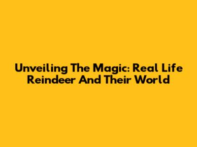 Unveiling The Magic: Real Life Reindeer And Their World